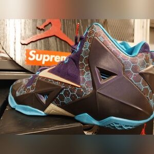 Nike Lebron 11 Charlotte Hornets Summit Size 10 Men's